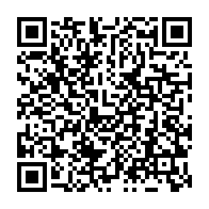 Spam Test e-mail di phishing Codice QR