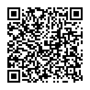 SynkLoader virus Codice QR