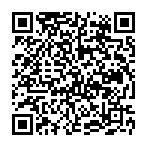 Taro virus Codice QR