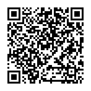 TELEPUZ virus Codice QR