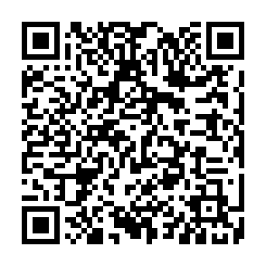 Tonkeeper Airdrop crypto drainer Codice QR