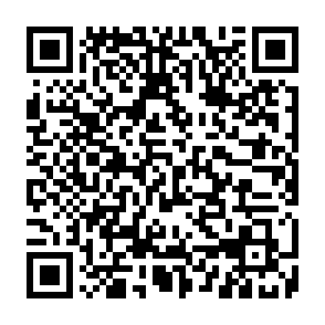 Torg programma per il furto di informazioni Codice QR