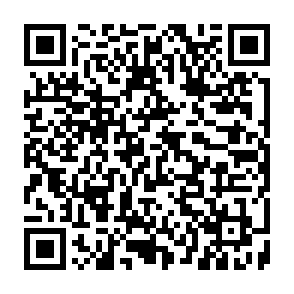 UwUdisRAT Codice QR
