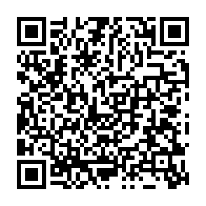 Vanta infostealer Codice QR