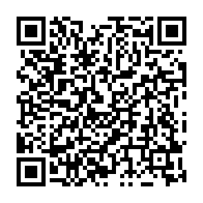 VantaBlack virus Codice QR