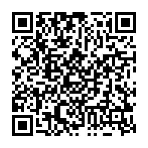 Vect virus Codice QR