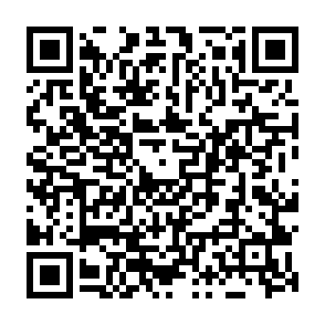 Vile virus Codice QR