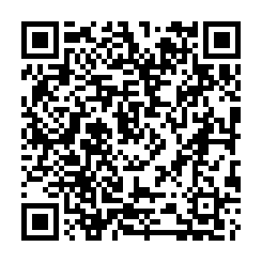 VoidStealer programma per il furto di informazioni Codice QR