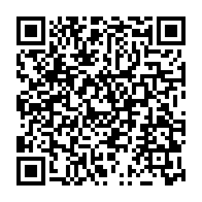 Annunci di vso-protect.co.in Codice QR