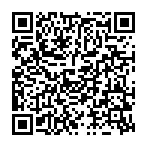 WormLocker virus Codice QR