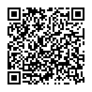 xAI Token Launch sito web truffaldino Codice QR