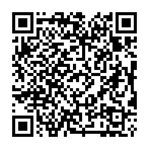 Zarok virus Codice QR