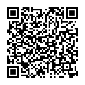 Zeo virus Codice QR