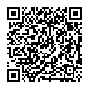 Zollo virus Codice QR