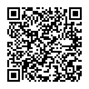 ZuRu porta sul retro Codice QR