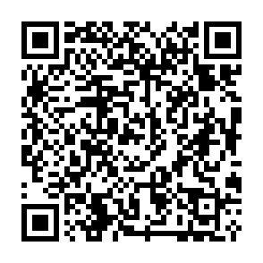 Virus Zynex Codice QR
