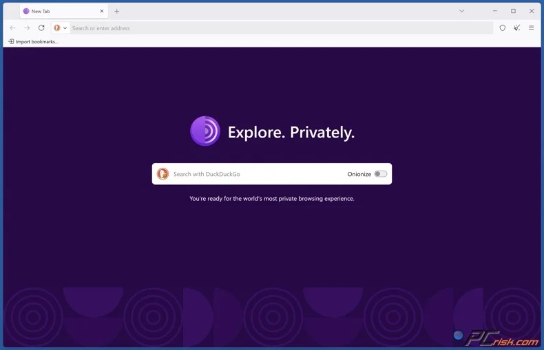 Homepage del browser Tor