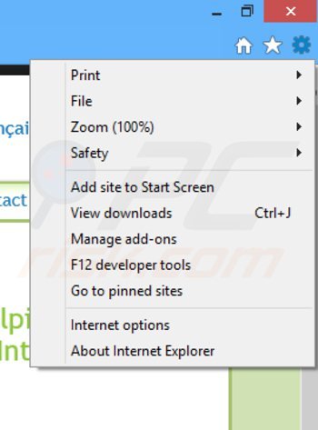 Rimuovere PremierOpinion da Internet Explorer step 1