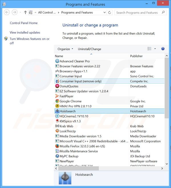 Disinstallare Hoistsearch attraverso il pannello di controllo