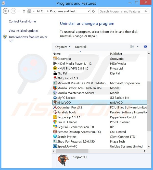 Rimuovere NinjaVOD attraverso il pannello di controllo.
