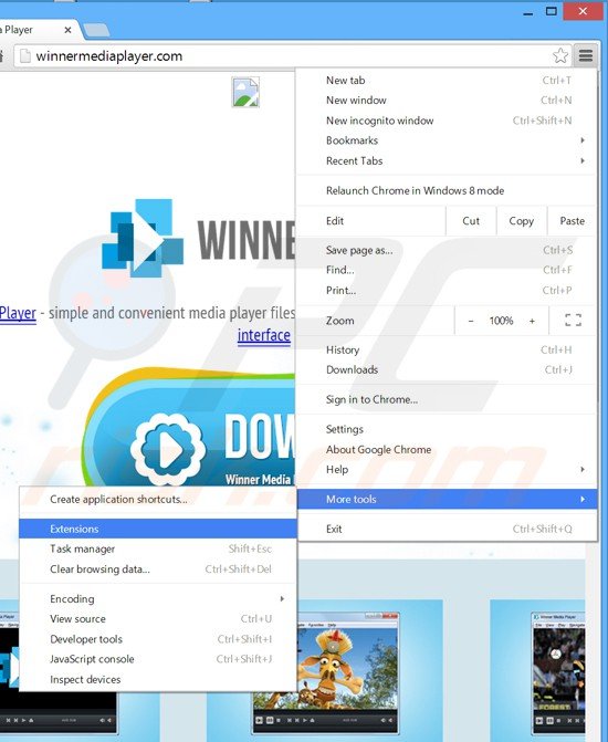 Rimuovere Winner Media Player adware da Google Chrome step 1