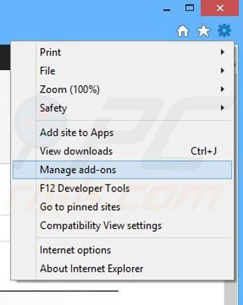 Rimozione di BrowserSupport da Internet Explorer step 1