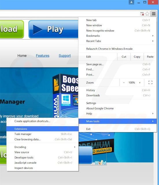 Rimuovere Premium Download Manager adware da Google Chrome step 1