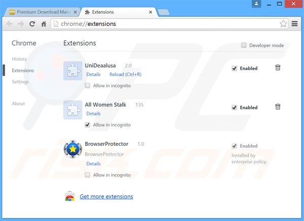 Rimuovere Premium Download Manager adware da Google Chrome step 2