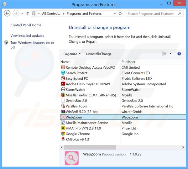 Rimuovere Web Zoom attraverso il pannello di controllo.