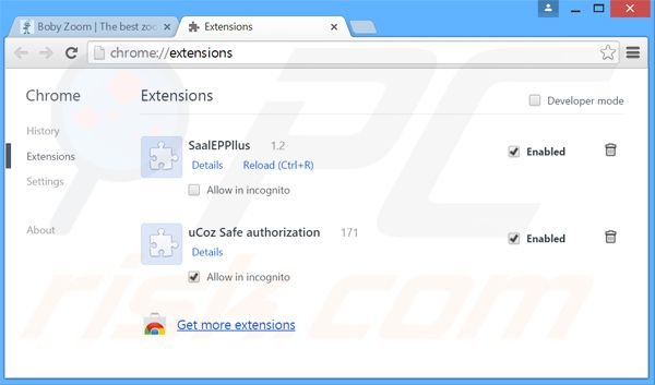 Rimuovere Boby Zoom adware da Google Chrome step 2