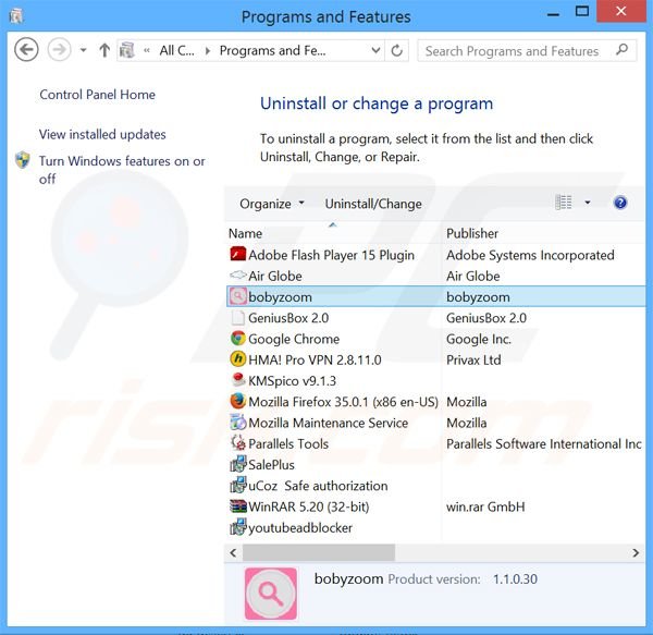 Disinstallare Boby Zoom attraverso il pannello di controllo