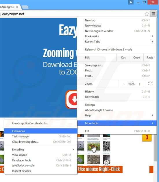 Rimuovere Eazy Zoom adware da Google Chrome step 1