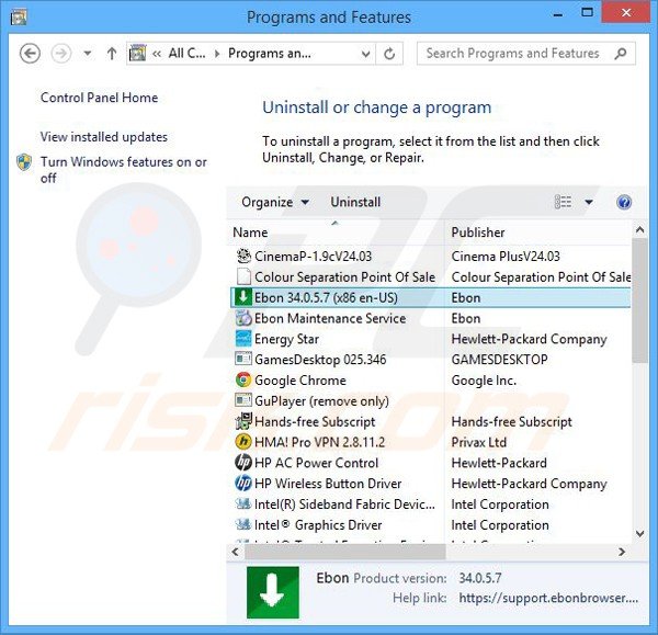 Disinstallare Ebon e Ebon Maintenance Service attraverso il pannello di controllo.