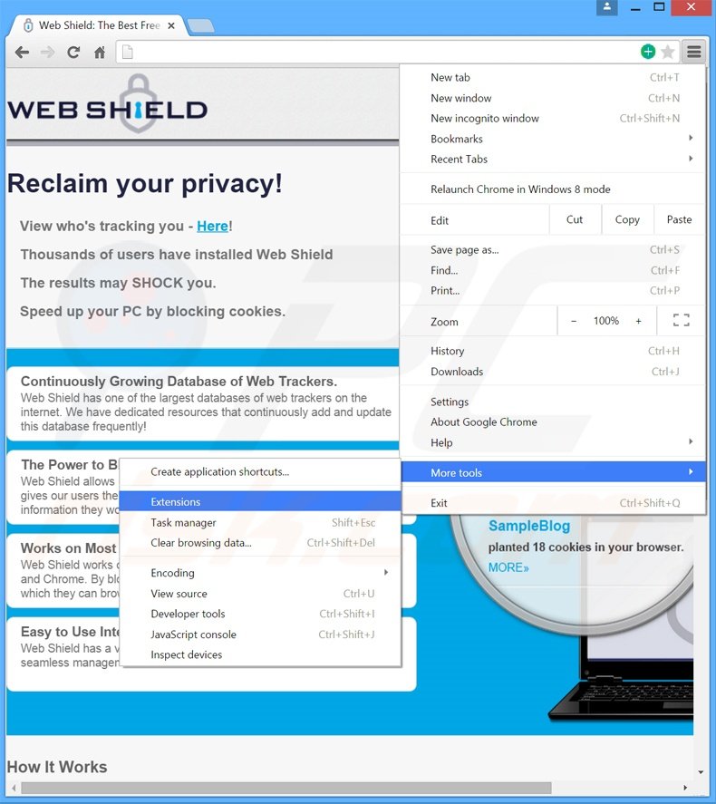 Rimuovere Web Shield adware da Google Chrome step 1