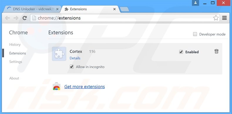 Rimuovere DNS Unlocker adware da Google Chrome step 2