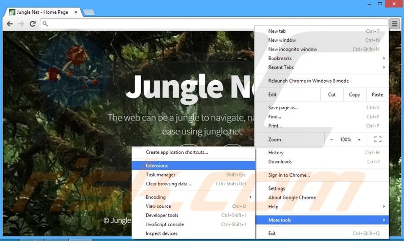 Rimuovere Jungle Net adware da Google Chrome step 1