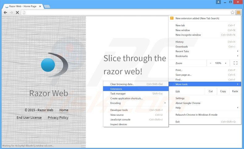 Rimuovere Razor Web adware da Google Chrome step 1