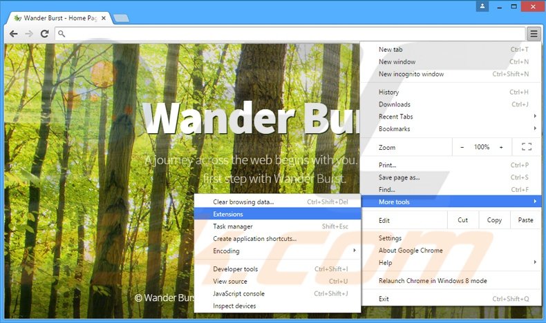 Rimuovere Wander Burst adware da Google Chrome step 1