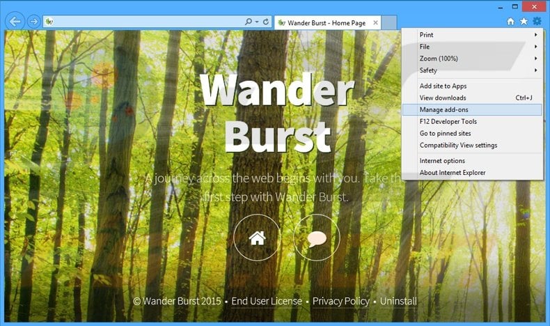 Rimuovere Wander Burst adware da Internet Explorer step 1