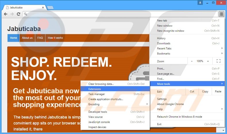 Rimuovere Jabuticaba adware da Google Chrome step 1