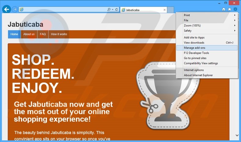 Rimuovere Jabuticaba adware da Internet Explorer step 1