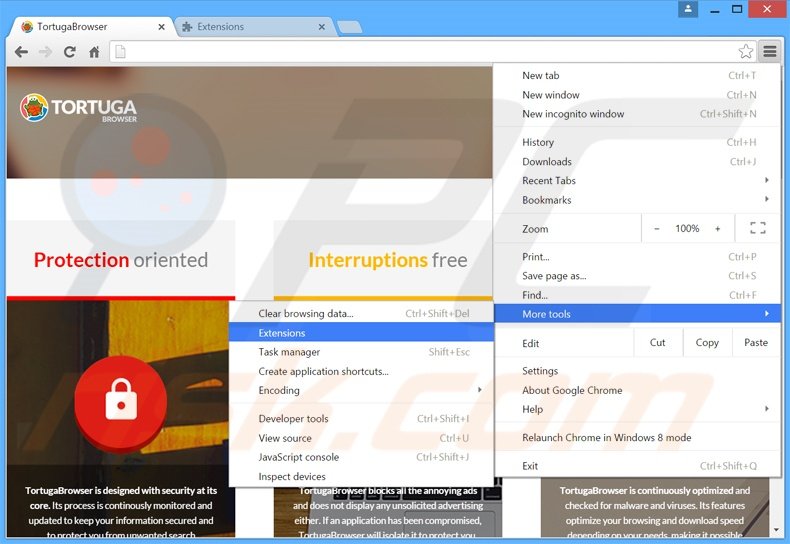 Rimuovere Tortuga adware da Google Chrome step 1