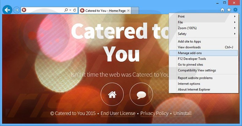 Rimuovere Catered to You adware da Internet Explorer step 1