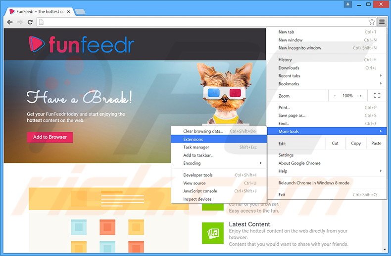 Rimuovere FunFeedr adware da Google Chrome step 1