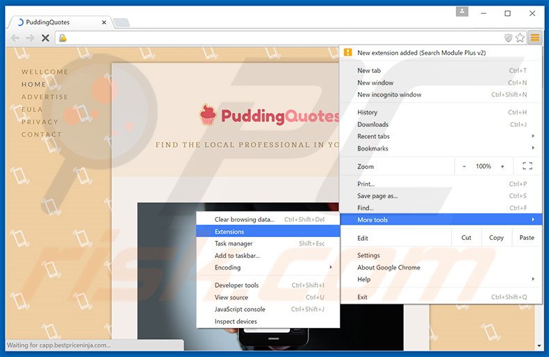 Rimuovere PuddingQuotes adware da Google Chrome step 1