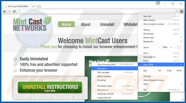 Rimuovere Mint Cast Networks adware da Google Chrome step 1