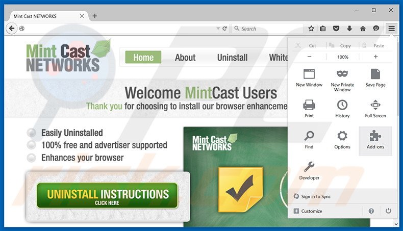 Rimuovere Mint Cast Networks adware da Mozilla Firefox step 1