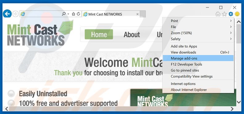 Rimuovere Mint Cast Networks adware da Internet Explorer step 1