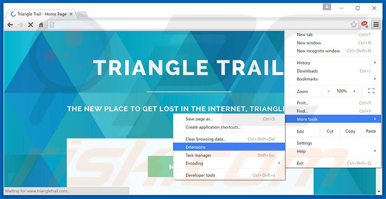 Rimuovere Triangle Trail adware da  Google Chrome step 1