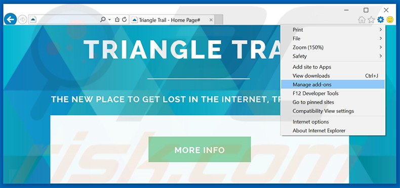 Rimuovere Triangle Trail adware da  Internet Explorer step 1